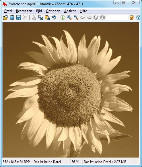 IrfanView: Sepia-Bild