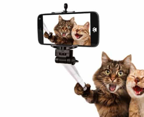 Influencer Marketing