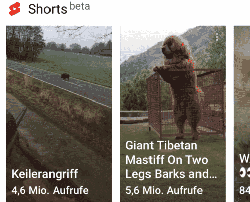 Youtube Shorts